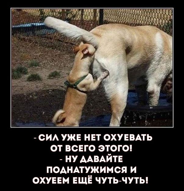 Что выберешь ты?