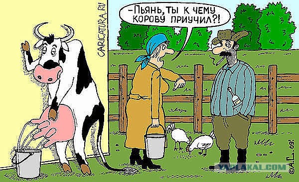 Немного картинок для настроения