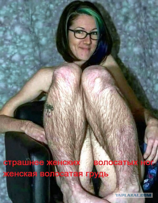 Скотсети и прочие интернеты 28.05.2019