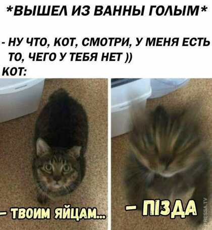 Подборка интересных и веселых картинок
