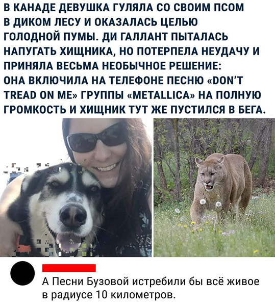 Применим физику в постели или белка и стрелка. Картинки