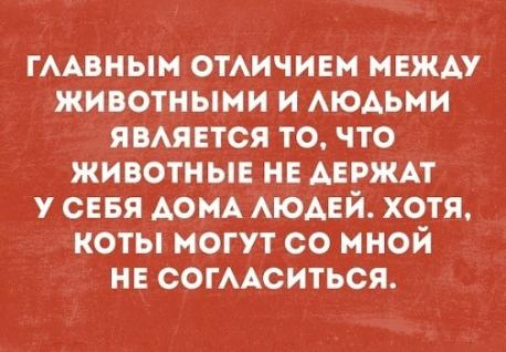 Короткопост картинок с отклонениями и без