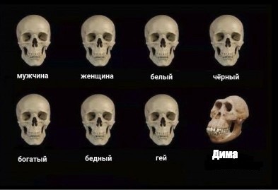 Говорящее имя. Кочет стайл