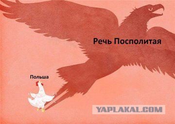 Польша хочет арестовать диспетчеров, работавших при крушении Ту-154