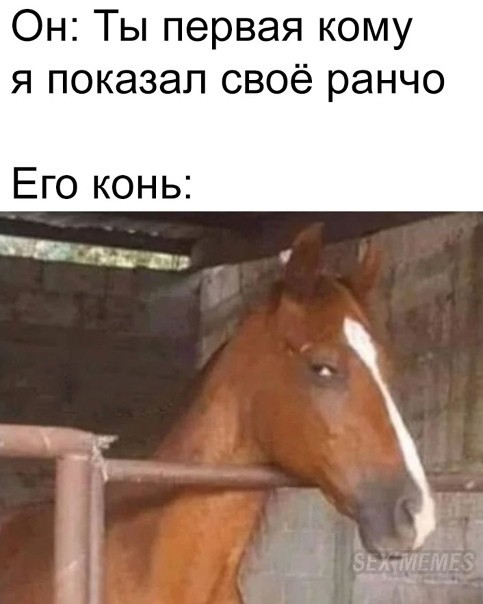 Юмор в картинках 5.01.21
