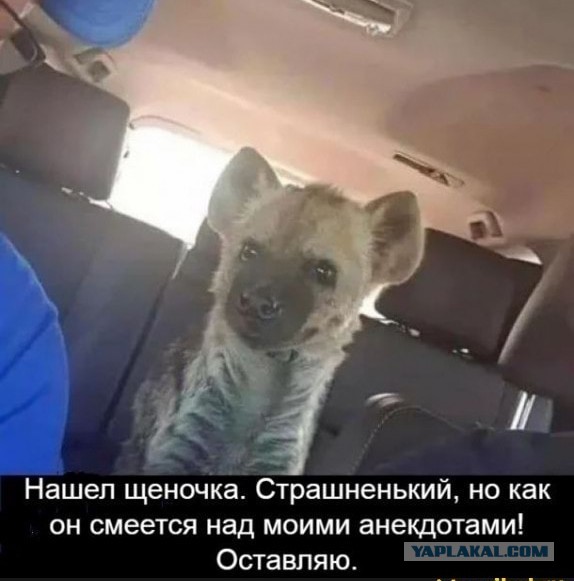 Картинки обо всëм. 07.01.20