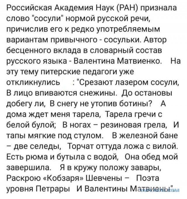 Спикер Совета Федерации Валентина Матвиенко подвергла критике текст песни "Русская женщина"