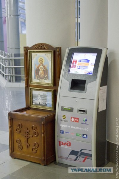 Нежные попы