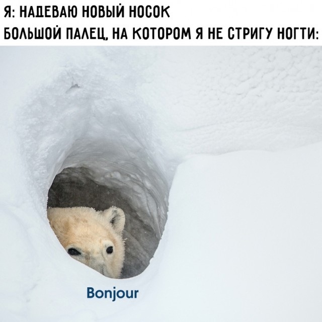 Весёлый полтишок 16.04