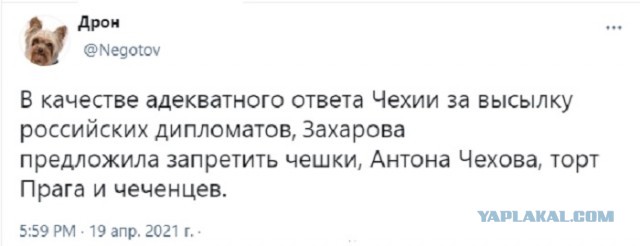 Картинки с надписями и всякие жизненные фразы 20.04.21