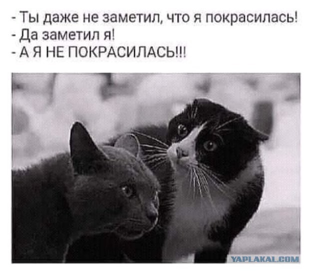 Картинки всякие 10.08.2021