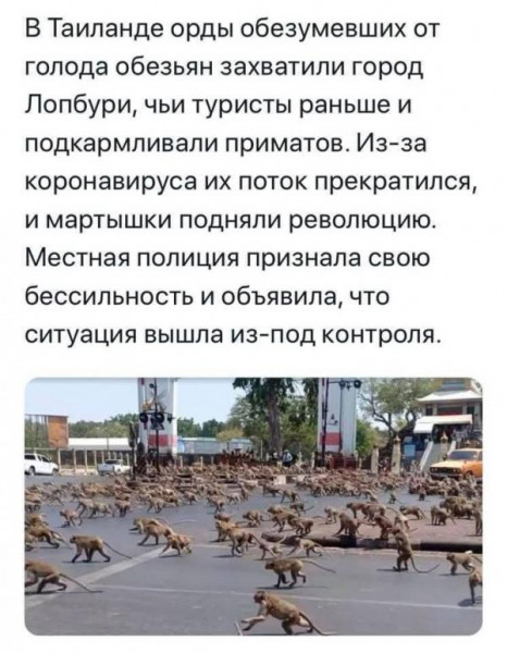 Так себе картинки 20.08.21