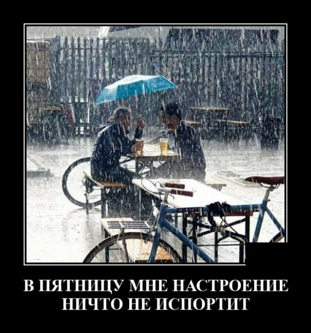 Алкопост 8.10.21