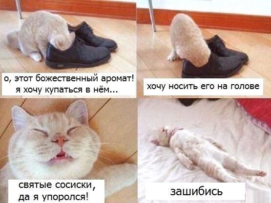 Прикольные и просто красивые картинки 31.01.2022