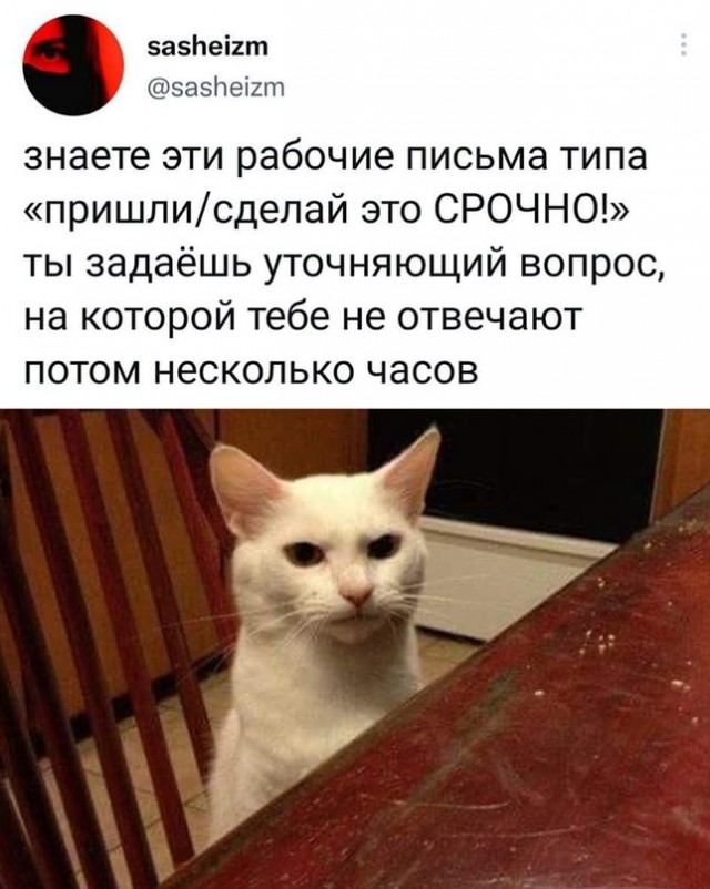 Картинки и мемы для настроения  -  9