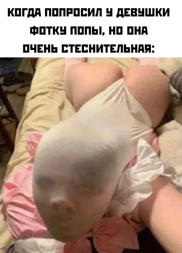 Весёлый полтишок 20.03.22