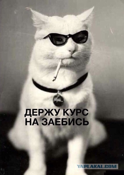 Так себе картинки 30.08.22