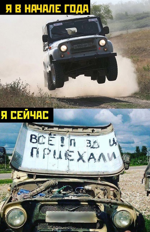 Весёлый полтишок 08.11.22