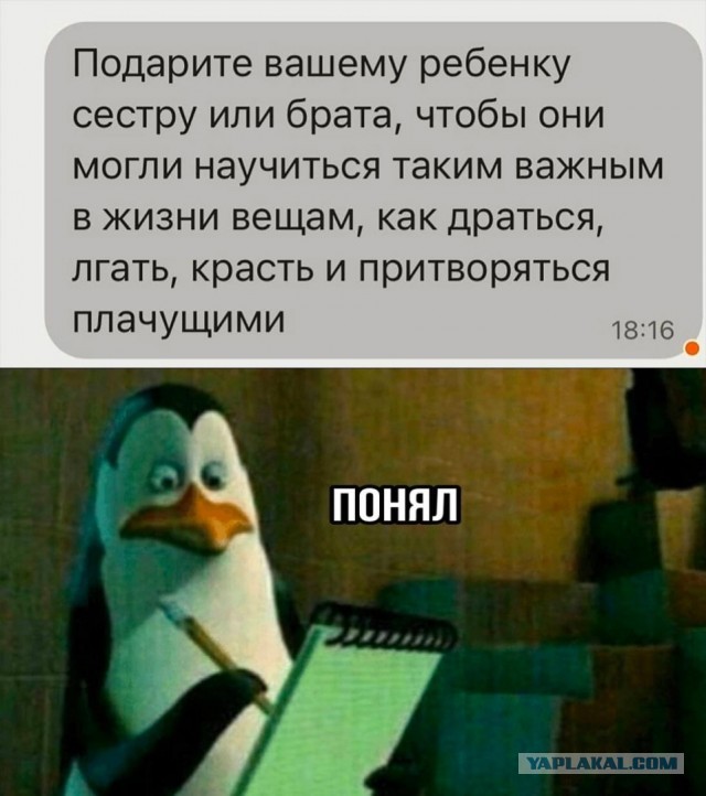 50 оттенков серого или самосвал баянов. Vol.27
