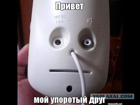 17 вещей, которые претворились другими предметами, заставив нас взглянуть на них дважды