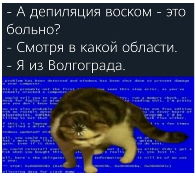 Так себе картинки 17.01.23