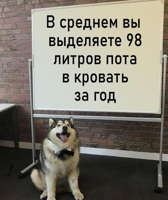 Немного картинок для настроения - 133