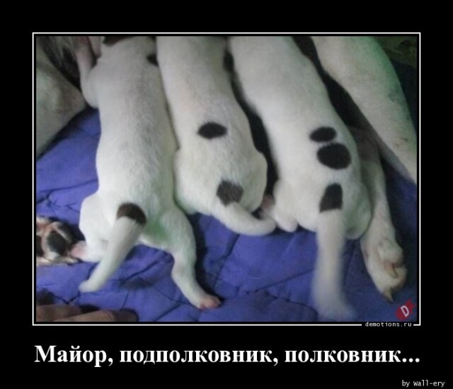 Картинки с надписями 12.02.23