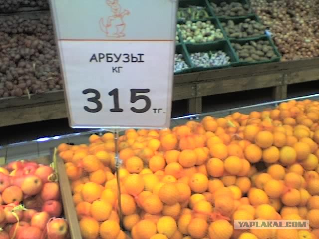 Приколы из Казахстана