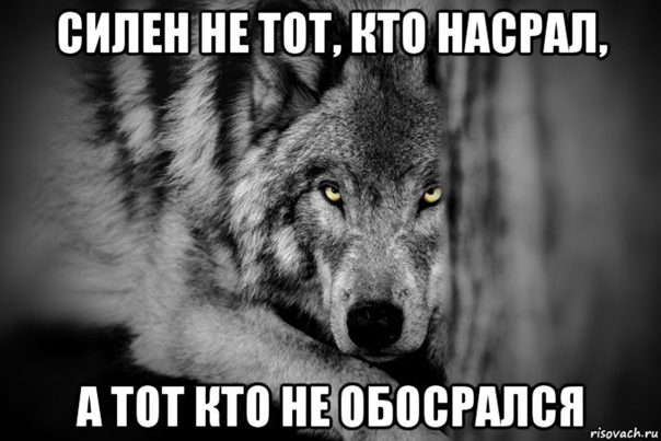 Бесит, когда срёшь на рельсы, показывая дух бунтарства и свободы, а тебе мешают волки