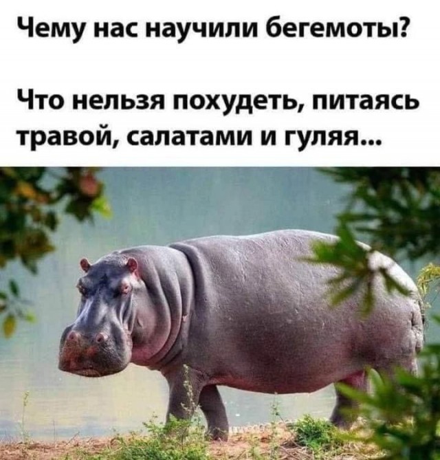 Картинки и мемы, всем хороших выходных