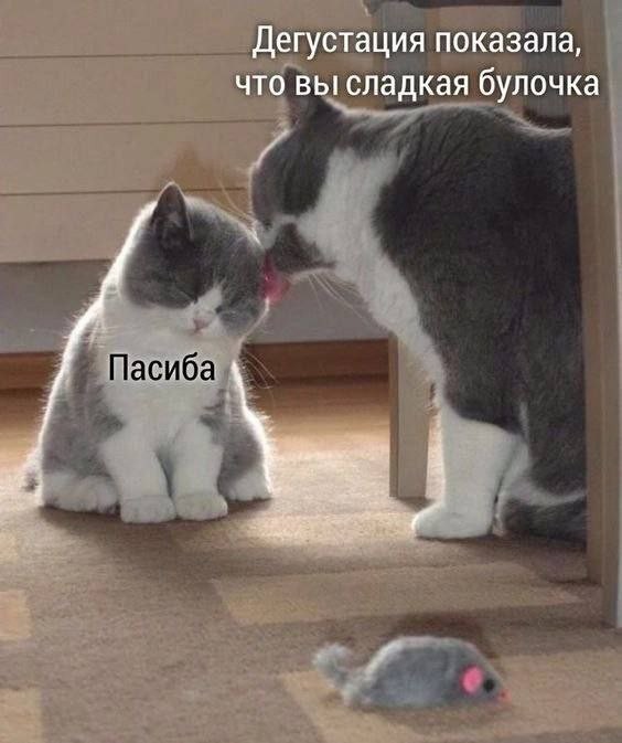 Картинок разной степени @банутости псто N°3