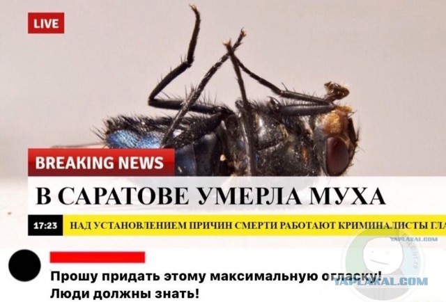 41-летняя Бритни Спирс чуть не показала п**ду