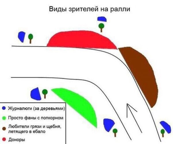 Картинок пост 1.11.2023