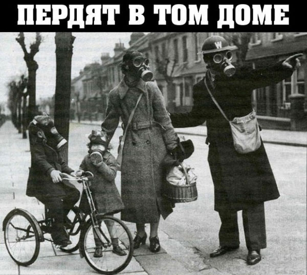 К обеду подвезли свежие баяны
