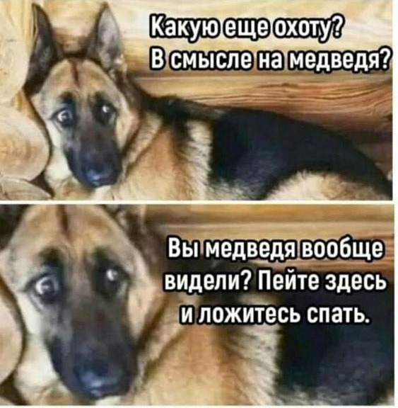 Не на тех напали