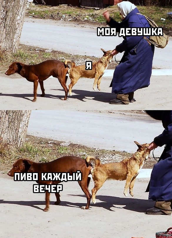 Весёлый полтишок 22.04.24