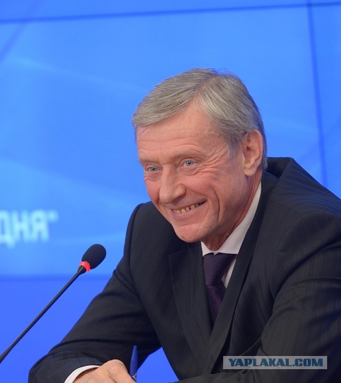 "А бордюры не простые. Всё скорлупки золотые"