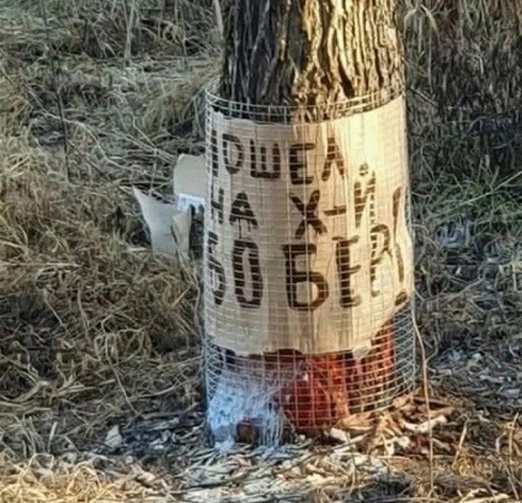 19513318.jpg