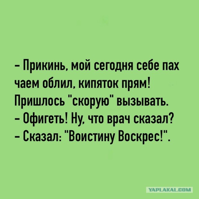 Так себе картинки 20.04.25