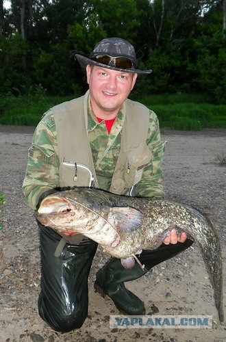 О рыбалке с творческим подходом