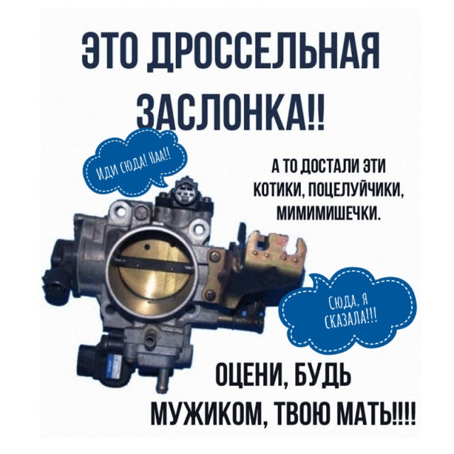 50 оттенков дичи