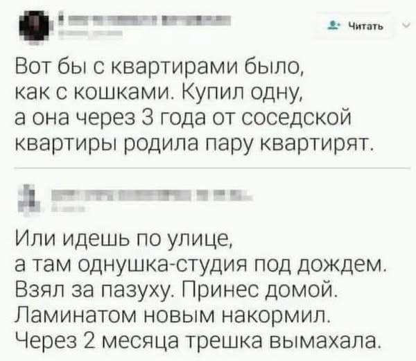Четверг . Картинки для бодрого утра