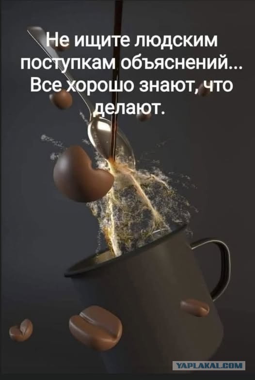 Небаянистая деградация 6