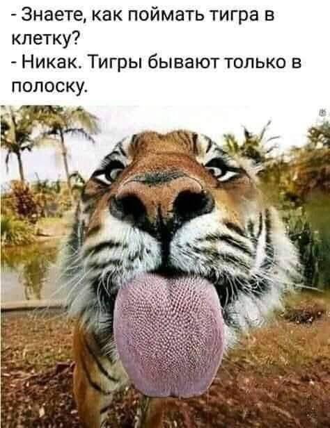Картинки для деградации 145 (разной степени свежести)