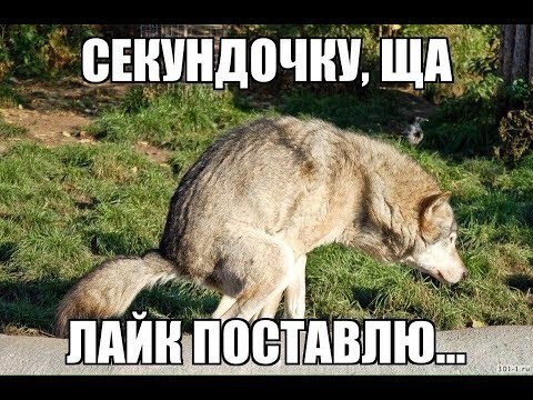 В России представили новую «Волгу»