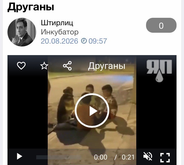 Меня окружают животные!