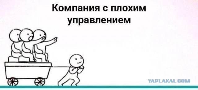 Картинки для деградации 264 (разной степени свежести)