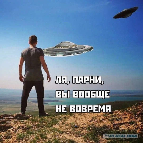 Скиньте и мне тоже рандомной херни