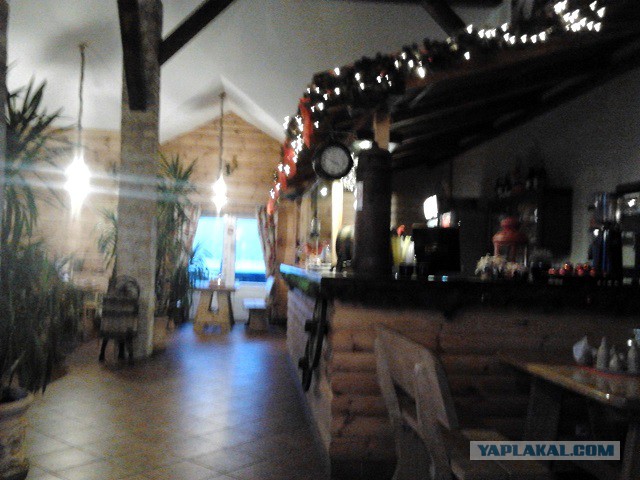 Где яблоки растут!