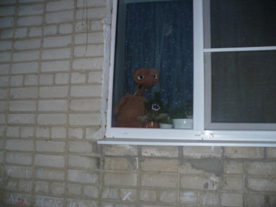 Первый контакт